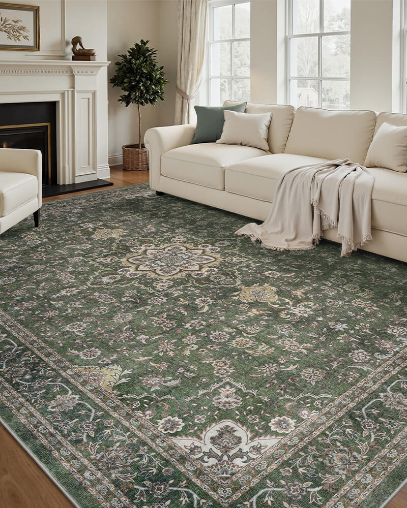 antheia-washable-area-rug-green-in-living-room