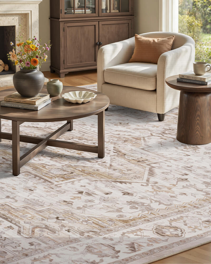 montvoo-abstract-vintage-rug-dining-office-elegant