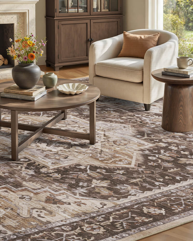 montvoo-abstract-vintage-rug-living-room-cozy-elegant
