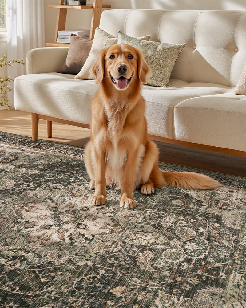 montvoo-boho-area-rug-soft-washable-non-slip
