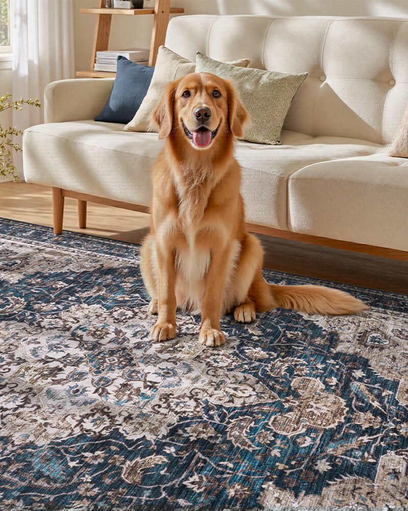 montvoo-boho-rug-easy-care-soft-fibers