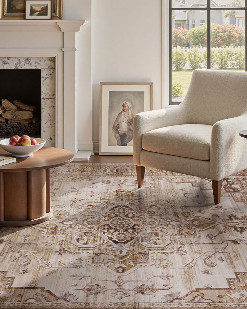 montvoo-boho-vintage-area-rug-living-room