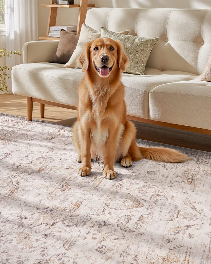montvoo-boho-washable-area-rug-for-living-room