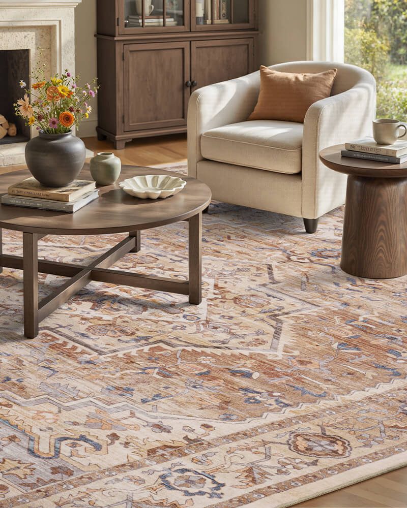 montvoo-soft-vintage-rug-bedroom-plush-texture