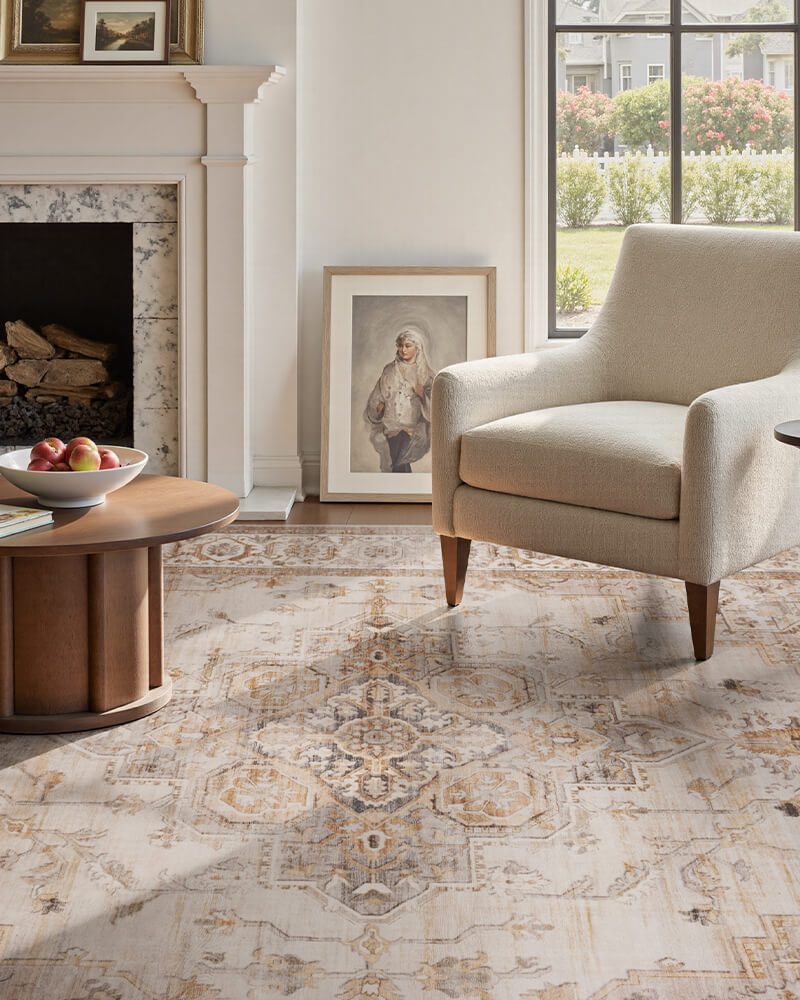 montvoo-vintage-floral-area-rug-living-room