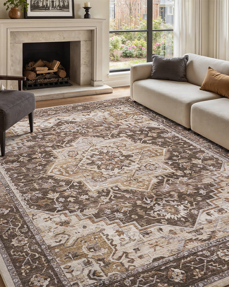 solara-washable-area-rug-brown-in-living-room