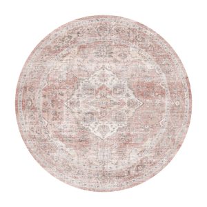 Vintage area rug with soft texture providing comfort for everyday living